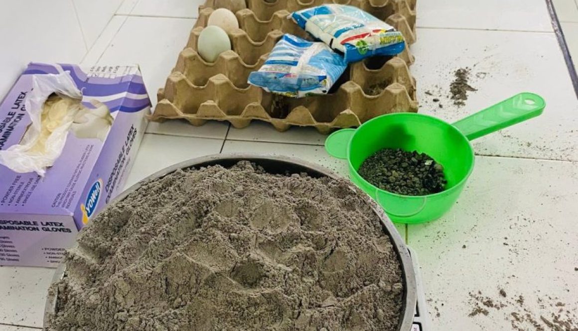 Betano, 29 Maiu 2025 – Atividade Pratika Halo Prosesamentu Produtu Aves Manu Mareko Tolun hodi Transforma Sai (Manu-Tolun Meer). Atividade pratika halao iha Laboratoriu CPA-ESAZ-IPB