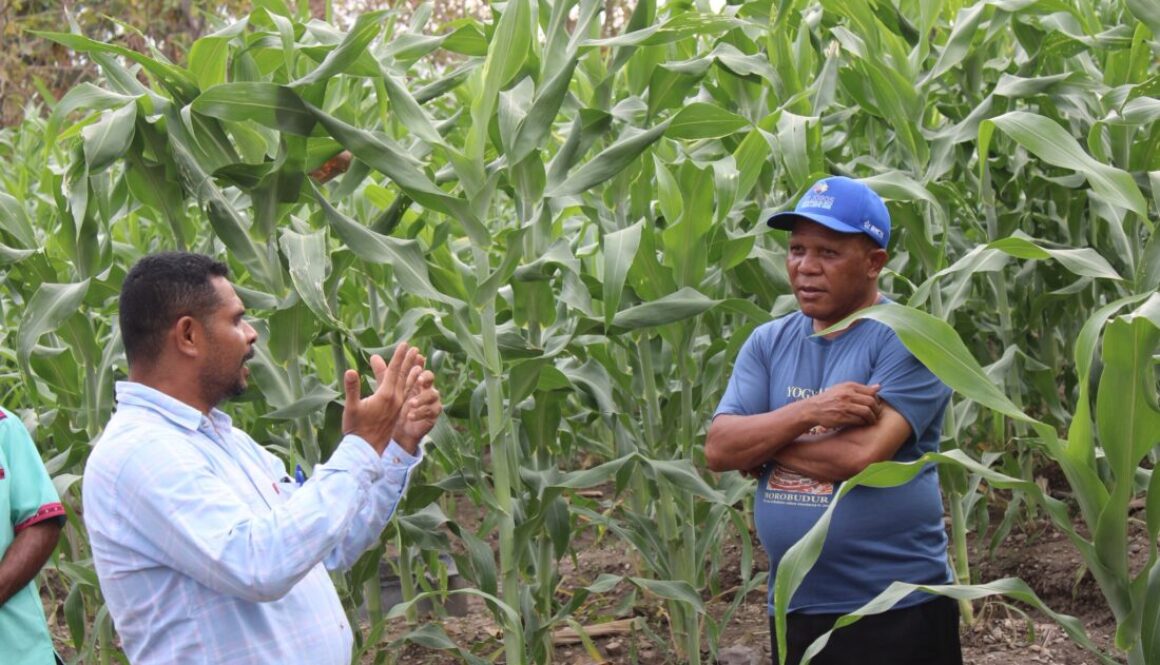 𝐄𝐒𝐓𝐑𝐔𝐓𝐔𝐑𝐀 𝐈𝐏𝐁 𝐇𝐀𝐋𝐎 𝐌𝐎𝐍𝐈𝐓𝐎𝐑𝐈𝐙𝐀𝐒𝐀𝐔𝐍 𝐁Á 𝐀𝐓𝐈𝐕𝐈𝐃𝐀𝐃𝐄 𝐏𝐄𝐒𝐊𝐈𝐙𝐀 𝐇𝐔𝐒𝐈 𝐄𝐒𝐀𝐙-𝐊𝐏𝐀